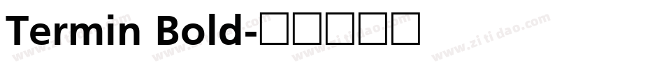 Termin Bold字体转换